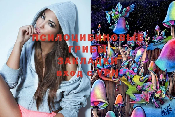 марки lsd Карпинск
