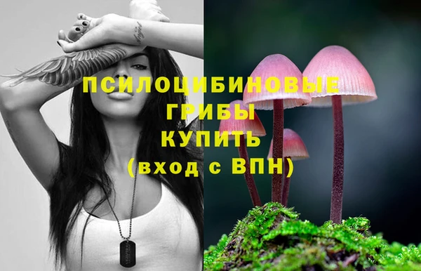 марки lsd Карпинск