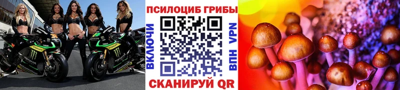 Купить закладки  Красногорск  Галлюциногенные грибы Psilocybe 